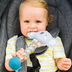 Taf Toys kõristi Koaala  - Fehn