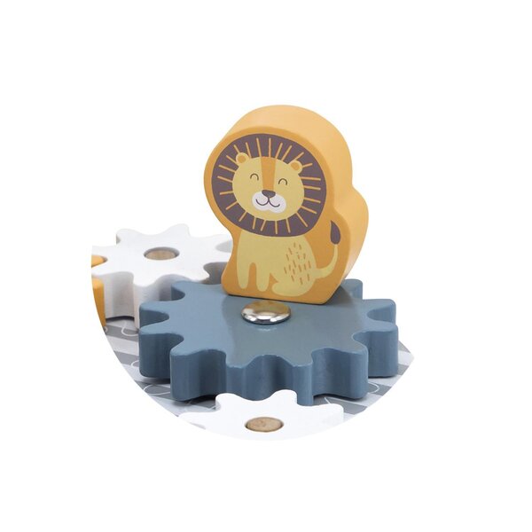 PolarB Spinning Gears - PolarB