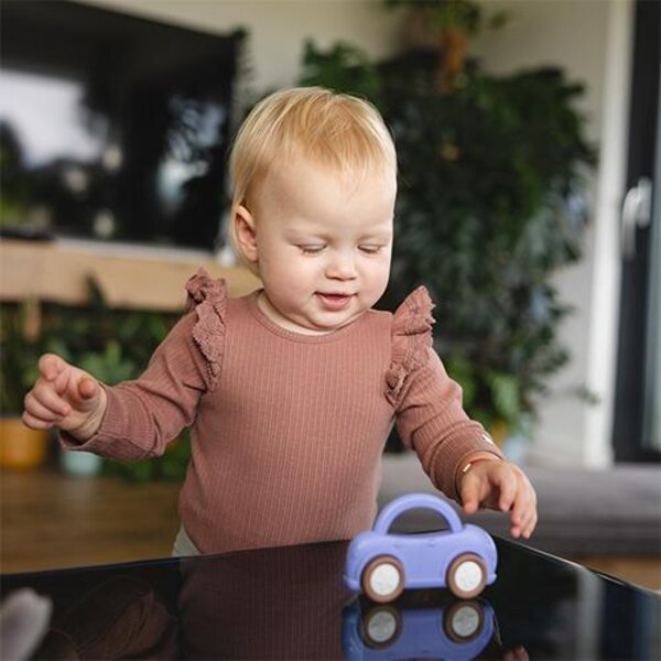 BabyOno rattle Car  - BabyOno