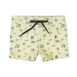 Dirkje Swimboxer - Dirkje