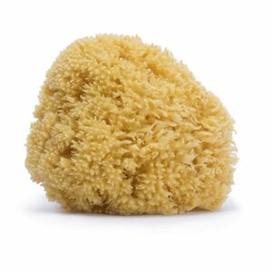 Suavinex Large natural sponge - Suavinex