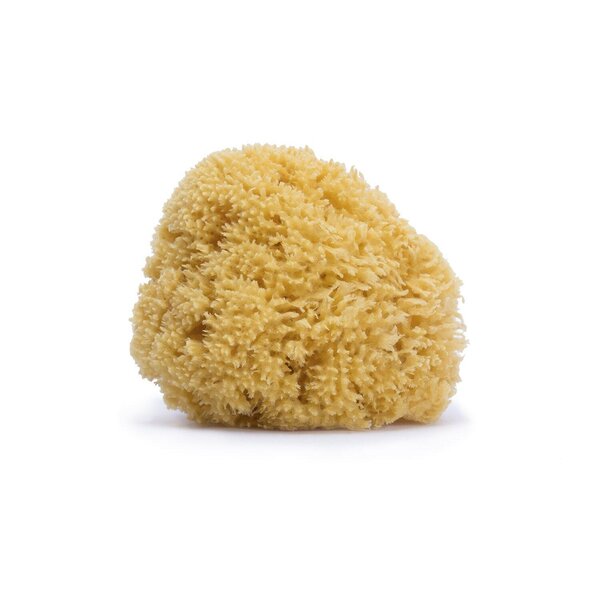 Suavinex Large natural sponge - Suavinex