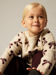 NAME IT Pullover Nmfsenya - NAME IT