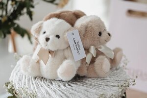 Teddykompaniet soft toy Besties, 12cm Beige - Teddykompaniet